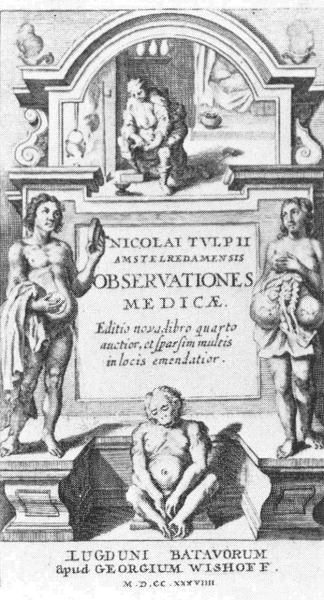 Blog--tulp rembrandt