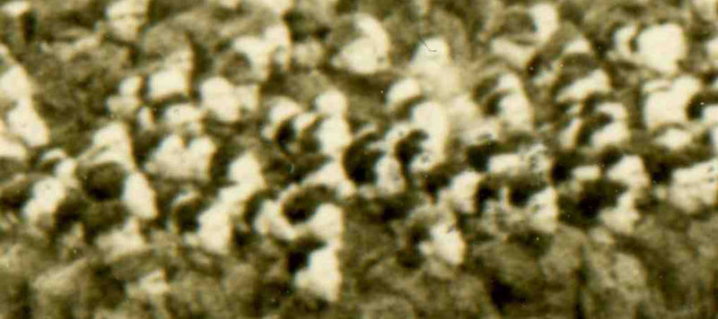 000-ebay--Nov6 boxing crowd999XX