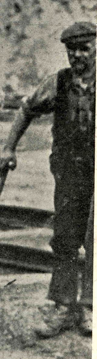 000-ebay--Nov 7queenonacar010