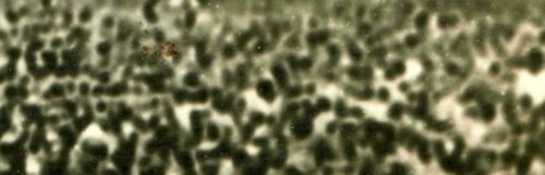 000-ebay--Nov 8 pows018