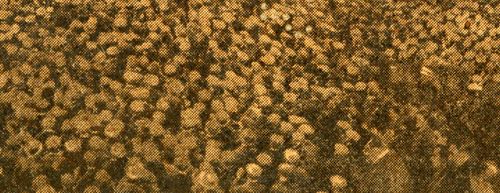 0-blog---Nov 13 doriot071