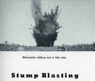 0-blog---Nov 21 dynamite087