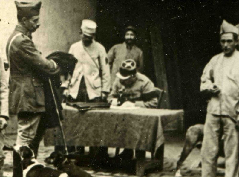 0--blog---dec 2 dog census173