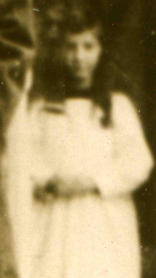 0 ebay 16 pie line281