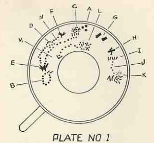 0 blog dec 19 tea294--detail