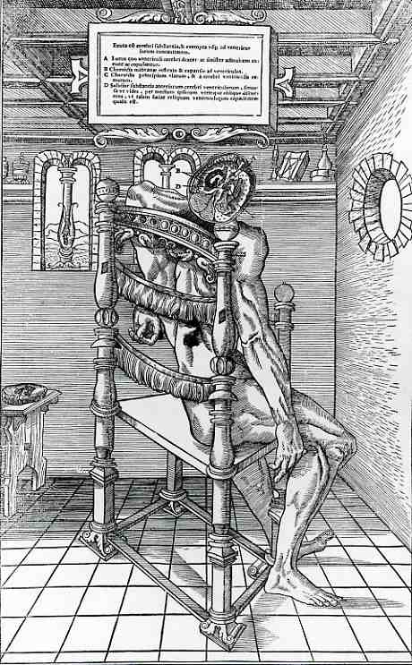 0 blog dec 27 estienne dissection323