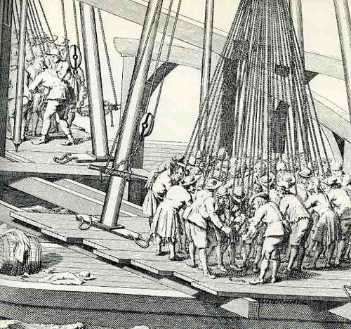 0 blog jan 08 horst367