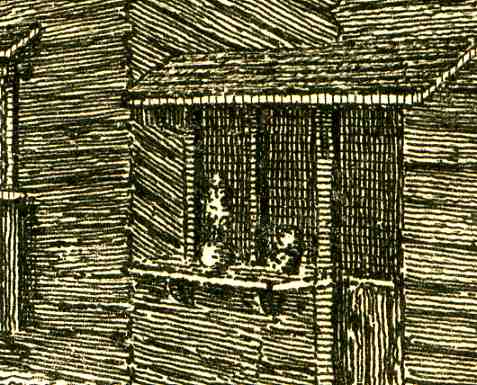 0 blog jan 23looking hard surrey414