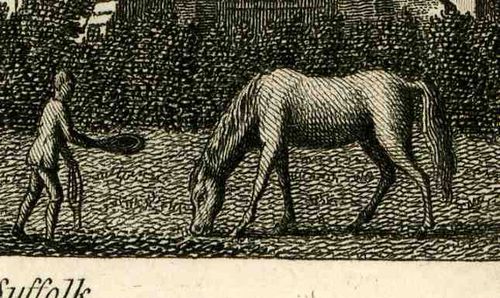 0 blog jan 23looking hard surrey416