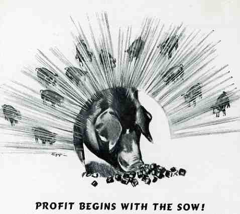 0 blog jan 24purina profits 428