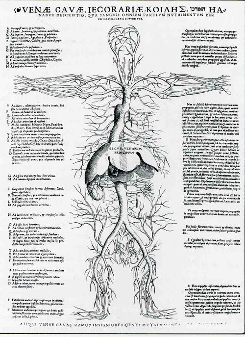 0 blog feb 6 circle542