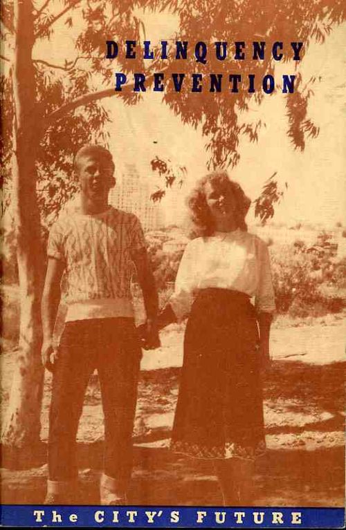 0 blog jfeb 2deliqunency500