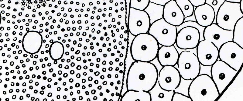 0 blog feb 3 dots518