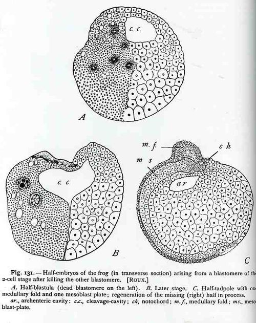 0 blog feb 3 dots517