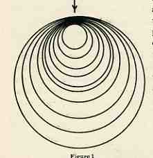 0 blog march 5 darwin refutation655