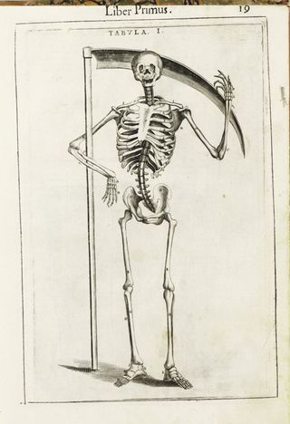 Blog--emotion--guidi