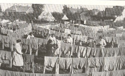 Blog april 29 trench 2