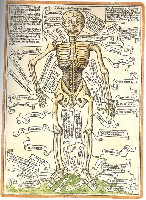 Blog--may 5 skeleton