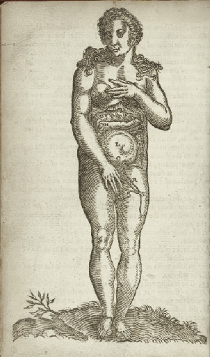 Blog--emotion--woman