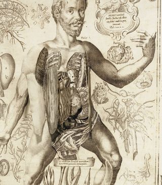 Blog--emotion man beard