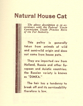 Blog--jun 8 fur title 001