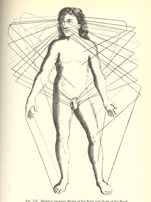 Blog--jun 11 mole lines