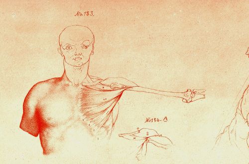 Blog==June 29--rimmer pecs det