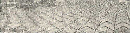 Blog--May 22--san fran2