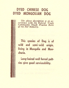 Blog--jun 8 fur title 002