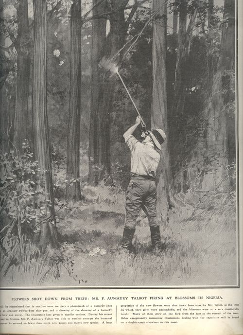 Blo--june 19--shooting flowers