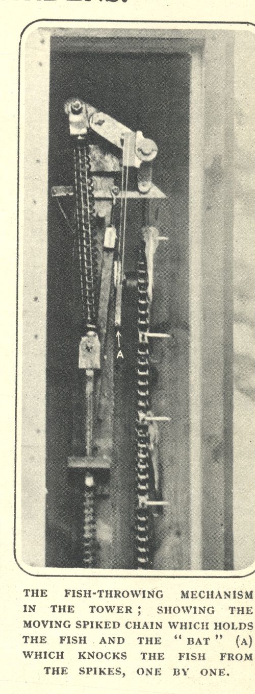 Blog==june 25 ifish 001