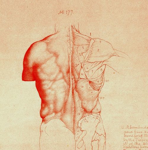 Blog==June 29--rimmer backdet