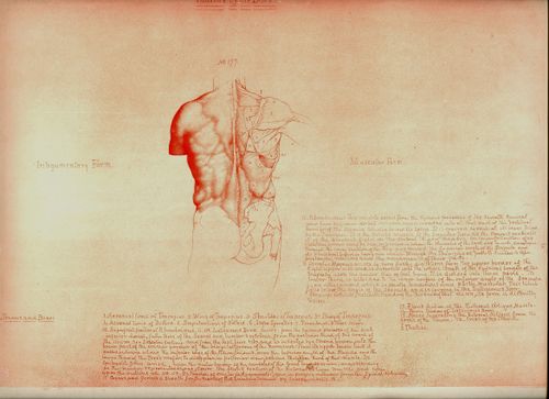 Blog==June 29--rimmer back