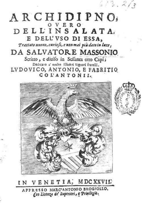 ===blog==aug 19==salad