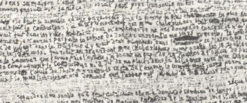 ++00++ 9.29 teresa ottalo detail