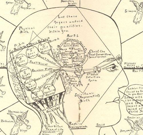 +()+outsider insidedet