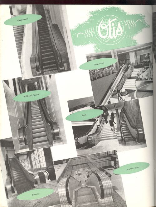 + simplicity escalators back 002