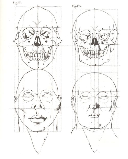 + skull