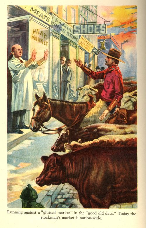 + The Kodacolor Bridge of Evolving Meat 3