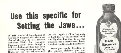 Mar 13 lsetting jaws