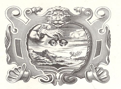 ++ Nov 26 eyes in sky