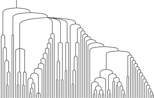 Tree ring oflife explana