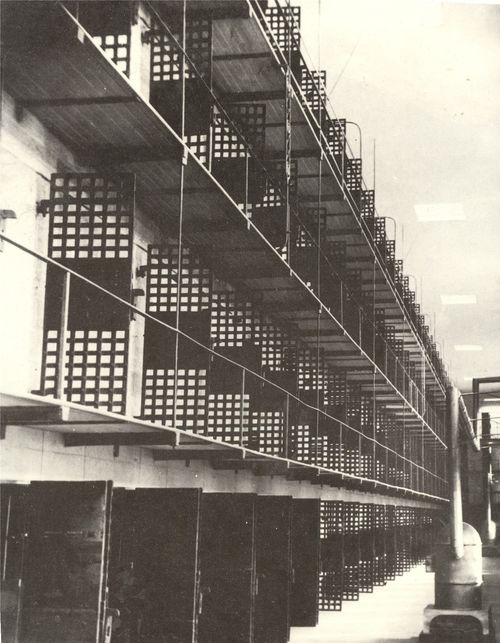 Blog dec 25 blackwell cell