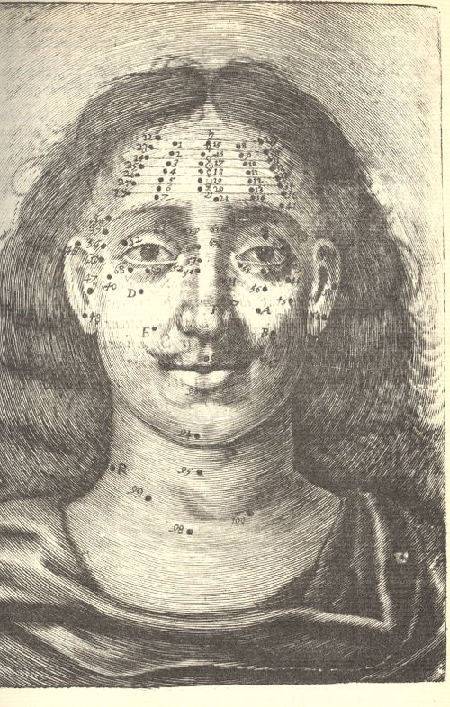 Blog--fe 9--mole map