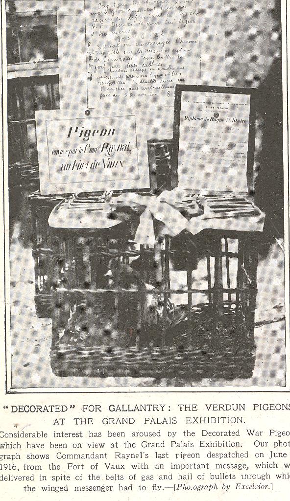 1--may 5 heros pigeon