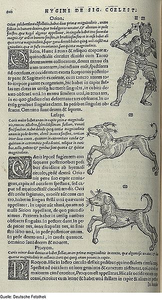 Dots--hyginus Dots--hyginus