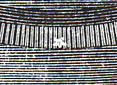 Aaa-light fiz gears det159