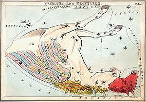 Horse constellation
