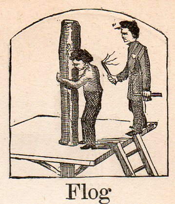 Alphabet germ--flog286