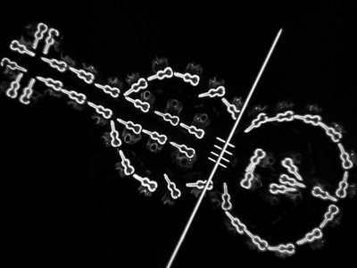 BusbyBerkeley BusbyBerkeley